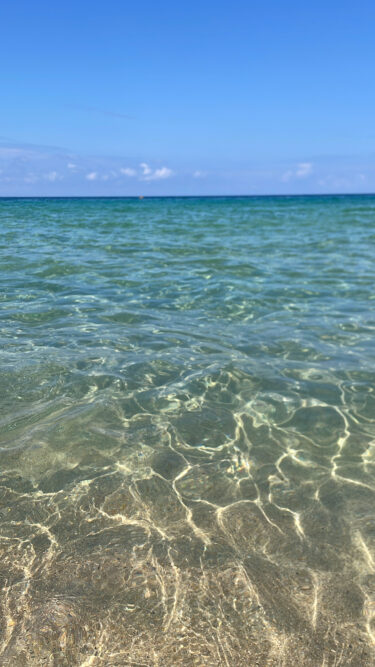 夏っぽいこと🐬🫧‪